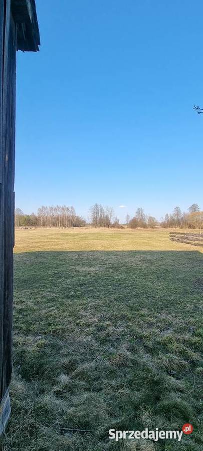 Dom siedlisko gospodarstwo działka Równe gm