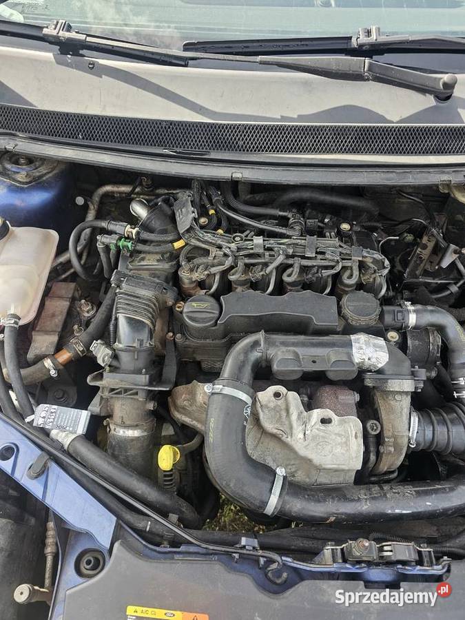 Ford Focus Rok produkcji 2005 Ford dolnośląskie Bukowice