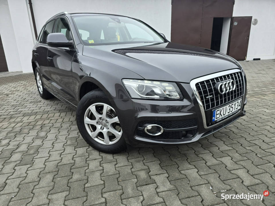 Audi Q5 30tdi Quattro NaviKlimatr 2 nawigacja Kutno