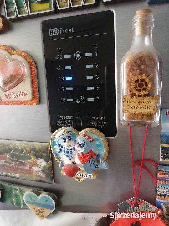 Lodówka Samsung Wałbrzych sprzedam