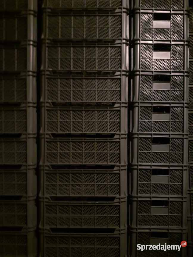 Sprzedam klatkiskrzynki plastikowe Radzymin