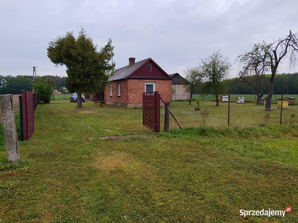siedlisko na sprzedaz Zieleniec