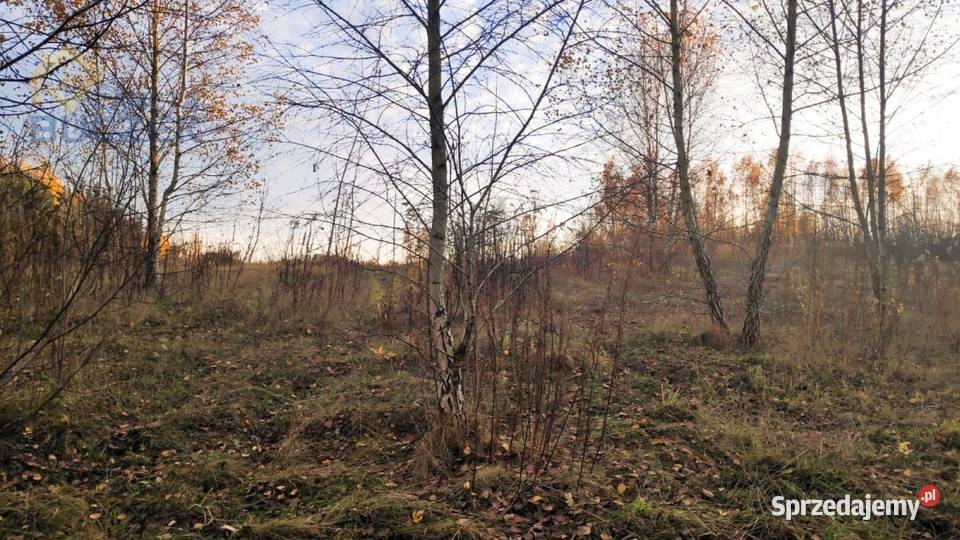 Sprzedam działkę budowlaną z dostępem do rzeki w mazowieckie