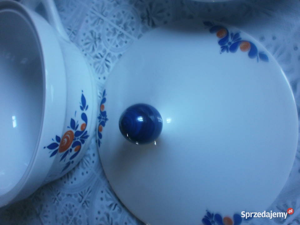 Winterling Roslau serwis obiadowy wielokolorowy