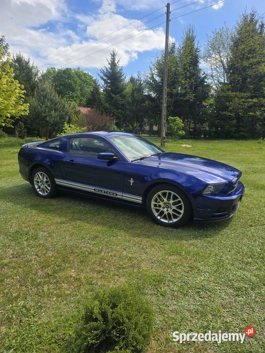 Ford Mustang Premium Pony Łódź