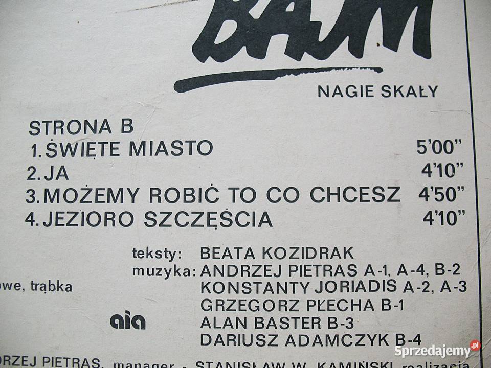 Bajm Beata Kozidrak Nagie skały Płyty ze strychu Siedlce