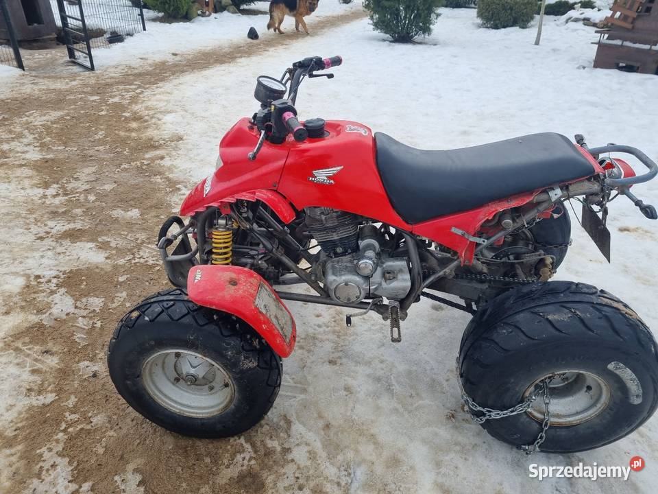 Qad borosa 170 Golub-Dobrzyń