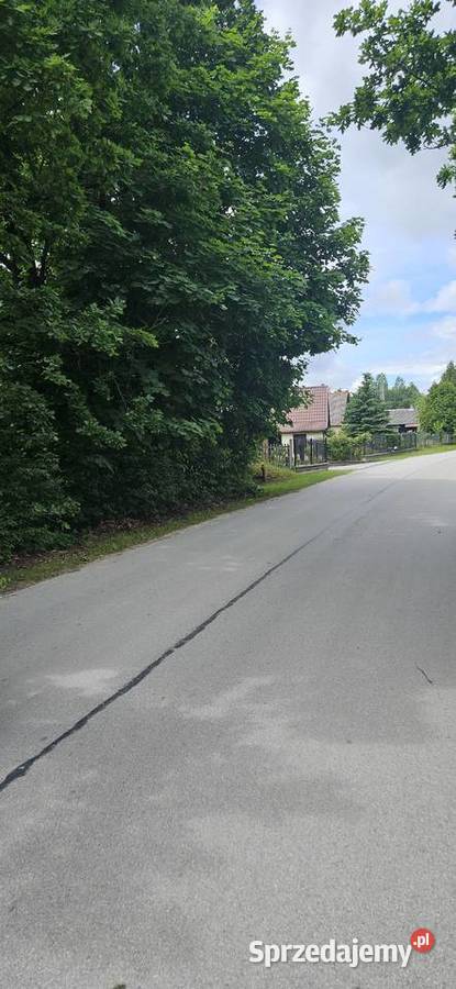 Działka zalesiona 14ha z dostępem do rzeki Bryzgów