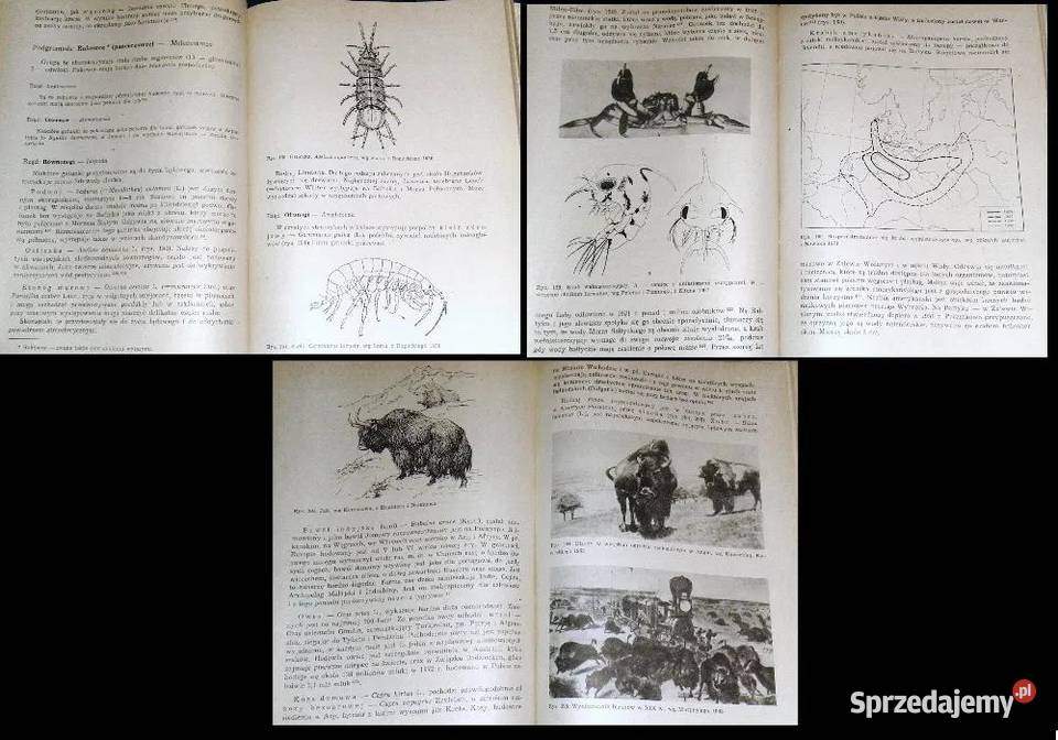 Zoologia stosowana Zbigniew Kawecki Chełm