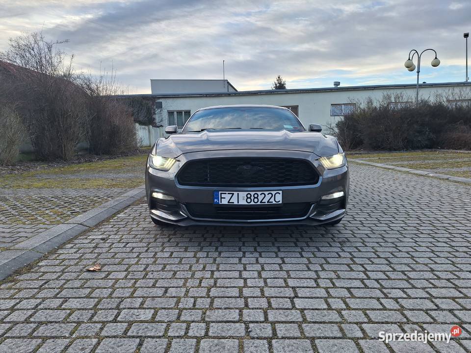 Ford Mustang 37 V6 Ładny Doinwestowany Zamiana Sulechów