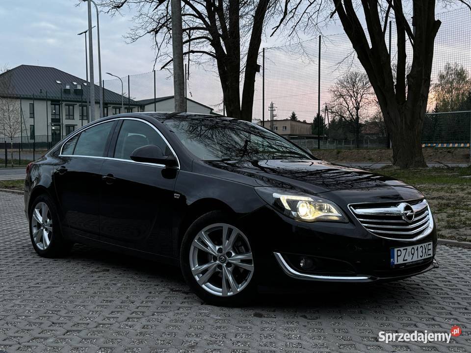 Opel Insignia Dąbrówka Wielka