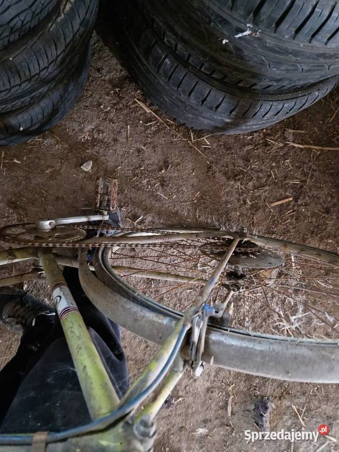 Romet albatros Legnica