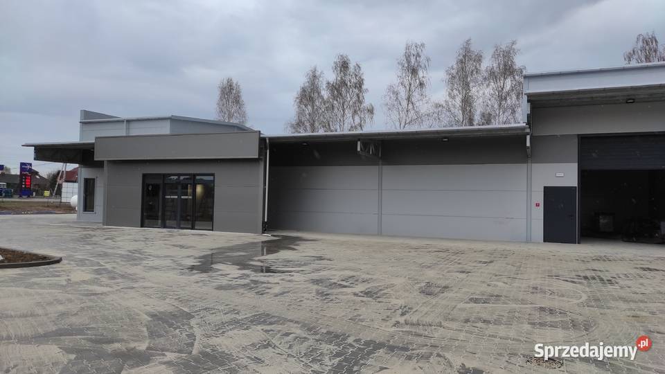 Konstrukcja hala usługowa Hala usługowa Czarny Las