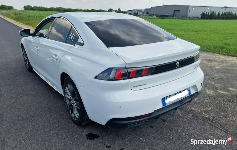 Peugeot 508 Peugeot 508 wielkopolskie Pleszew