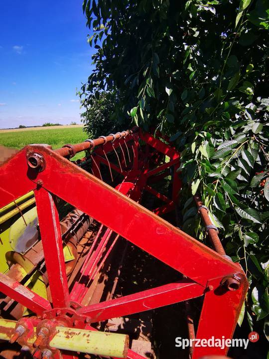 Sprzedam heder claas consul 3m Zbożowe Kotarszyn