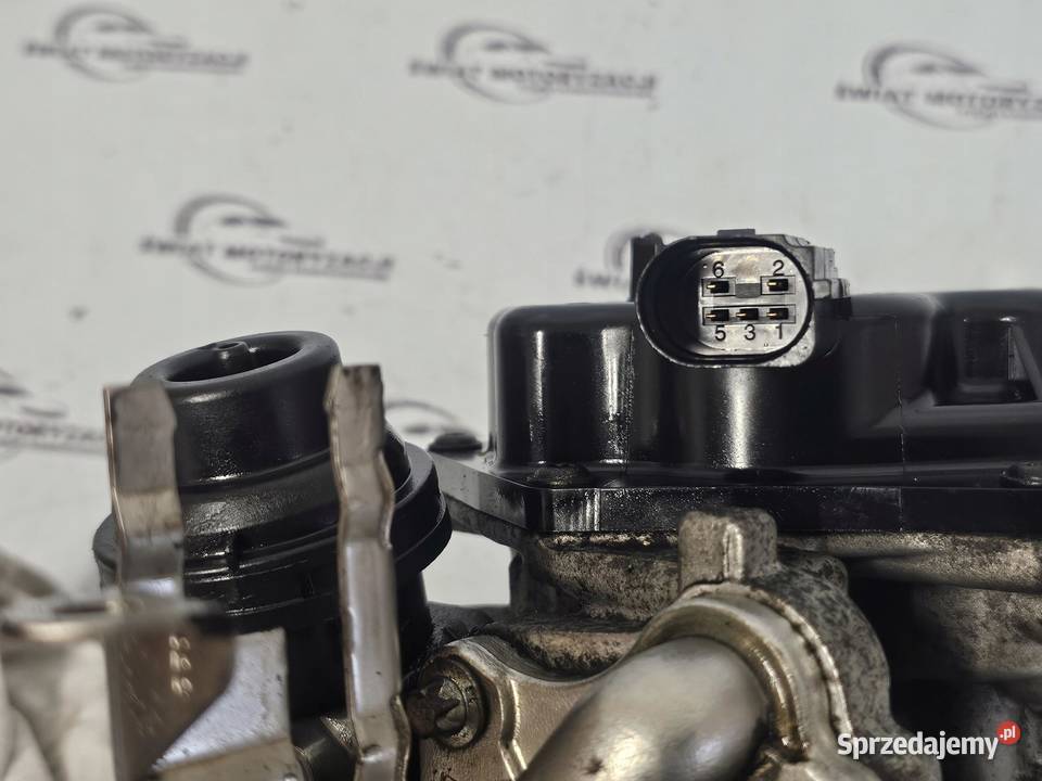 VW SKODA AUDI A4 A6 20 TDI CJC 140 13r zawór EGR świętokrzyskie