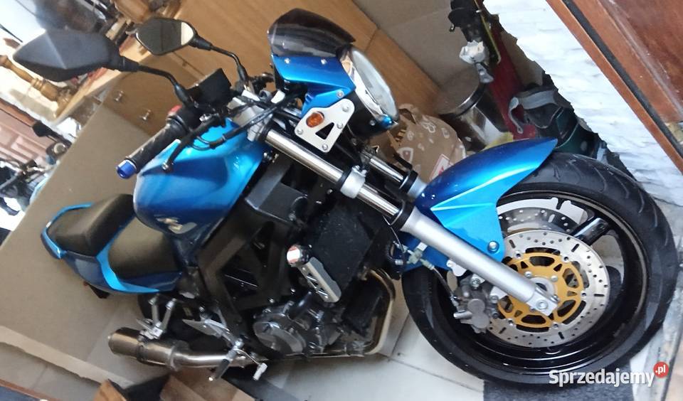 SUZUKI SV dolnośląskie Pieszyce