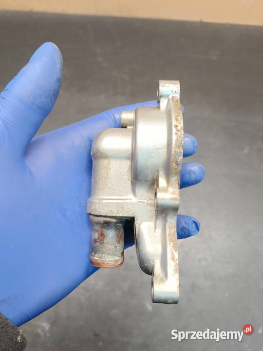 Osłona pompy wody dekiel pokrywa kapa silnik Gołaczewy sprzedam