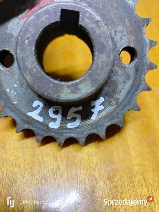 Zębatka 24 zęby panonia