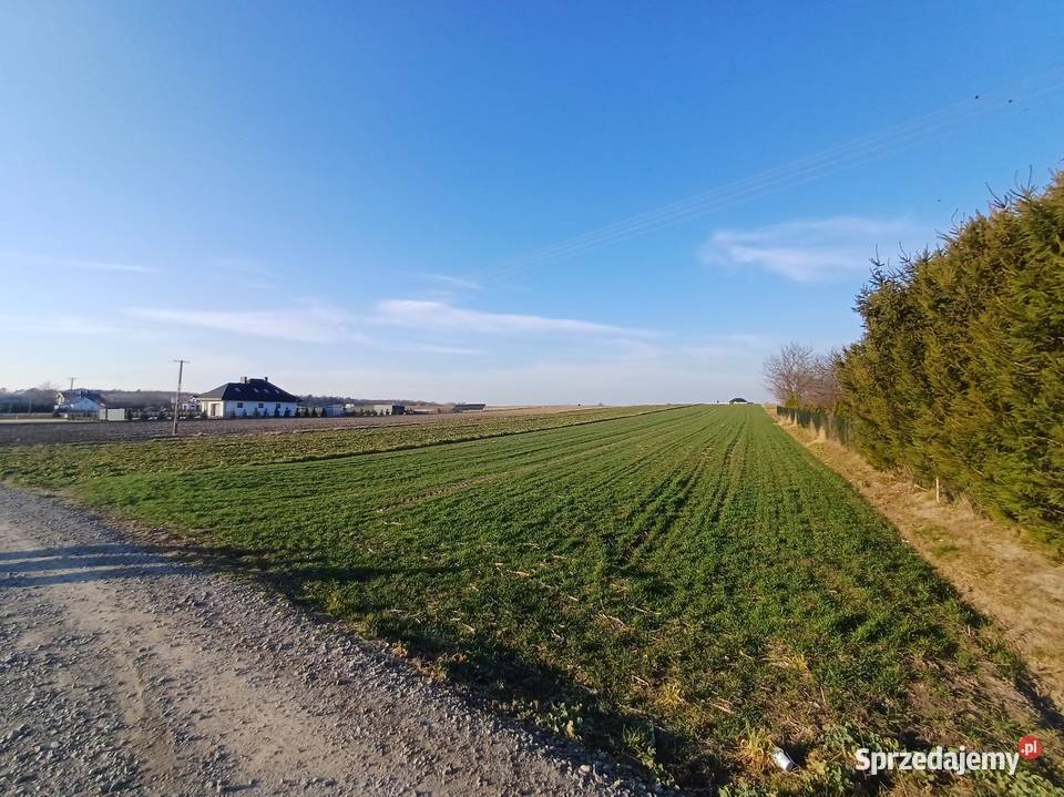 Działka budowlana na sprzedaż Sitaniec-Wolica