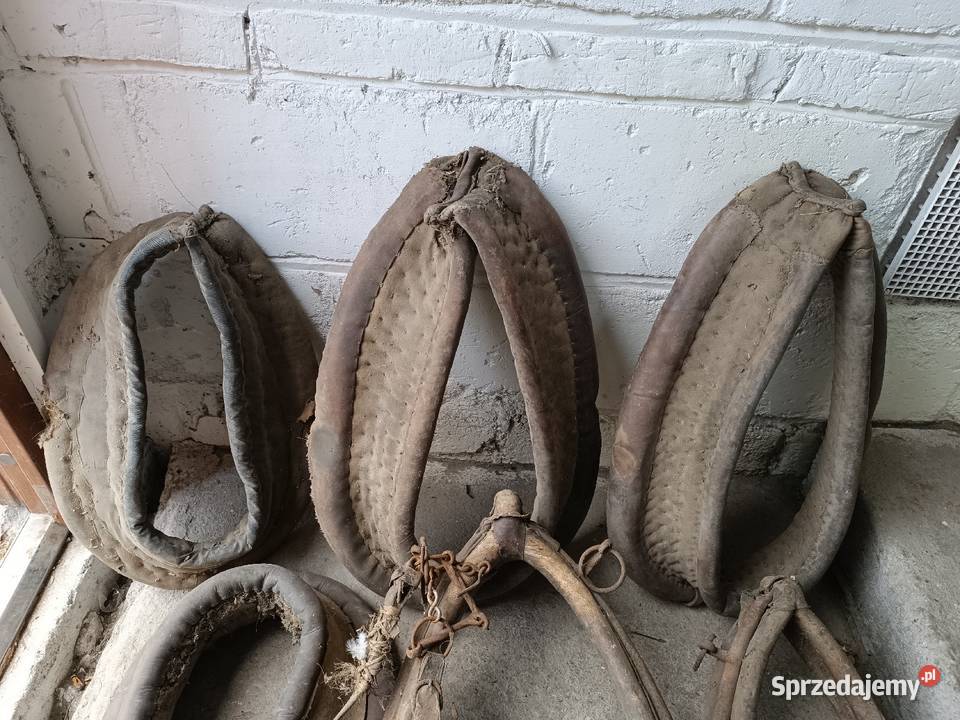 Zabytkowe akcesoria konne chomąto uprząż homonto Rzeszów