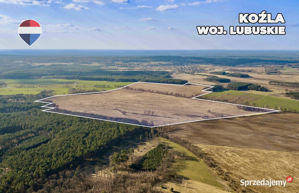 Działka rolna na sprzedaż aż 925 ha Koźla