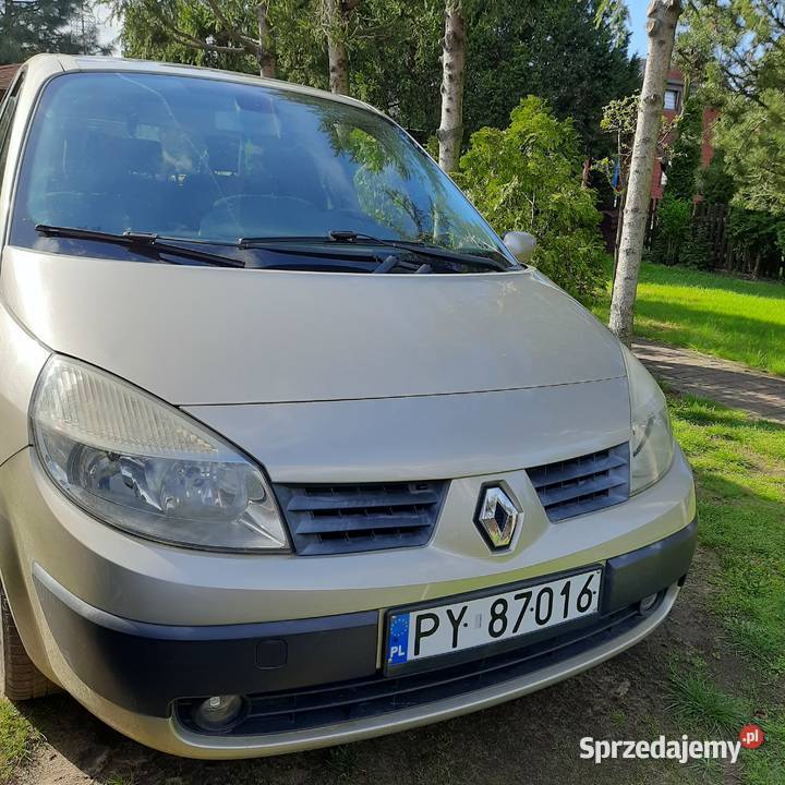 19 dci 7 osobowy Niski przebieg 169 okazja