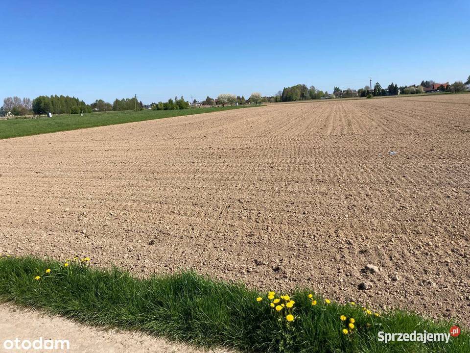 Przyjmę ziemię rolną w dzierżawę gmina Księżpol