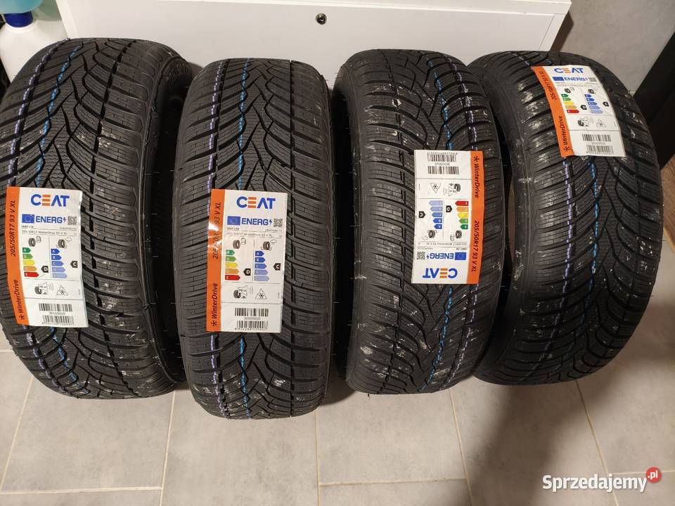 Ceat WinterDrive 2055017 93 V XL Rudnik