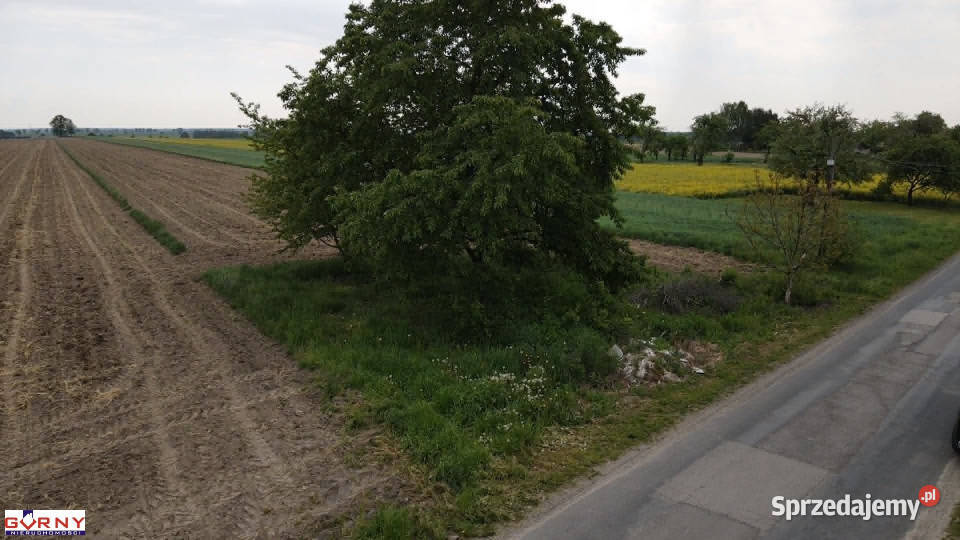 Działka Uszczyn 2000m2 łódzkie