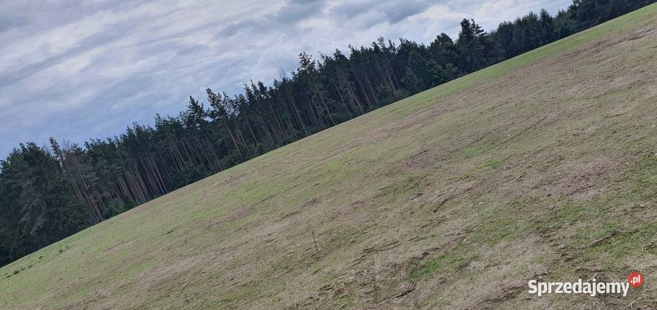 Działka budowlana 1000m2 w otulinie lasu