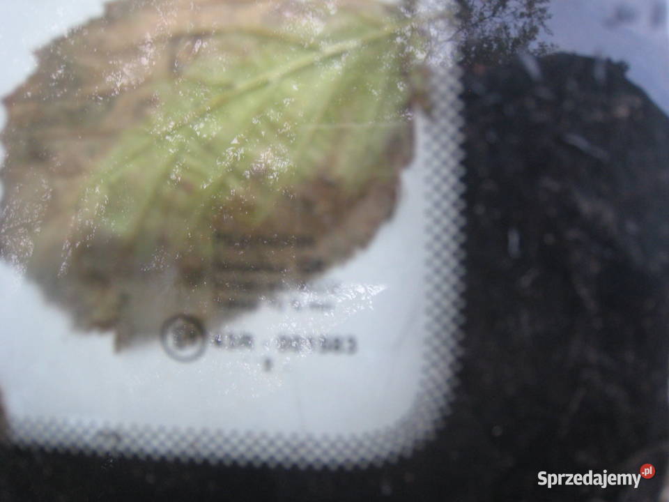 Szyba karoseryjna w błotnik prawa lewa Opel Kraków