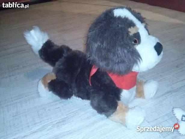 Interaktywny piesek Billo firma Epee Wrocław