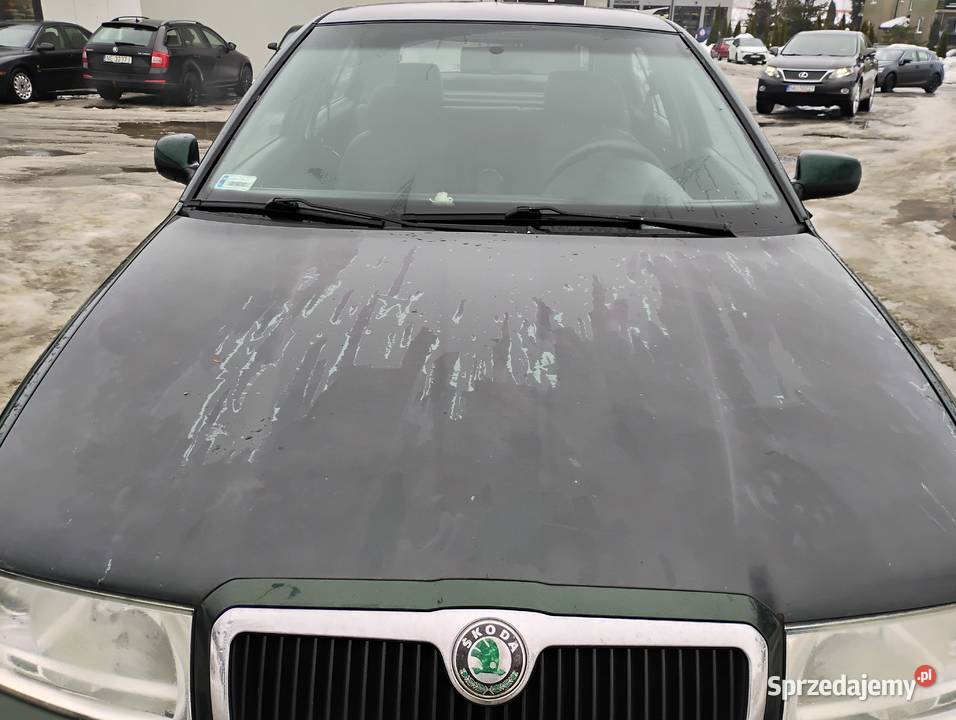 Skoda octavia udział 1