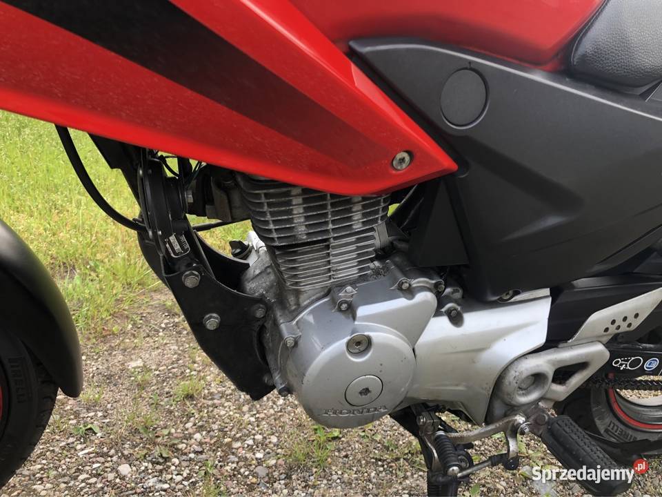 Honda CBF 125 Gdańsk