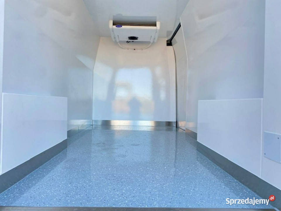 Renault Master SALON CARRIER CHŁODNIA MROŻNIA Rok produkcji 2021 Leszno sprzedam