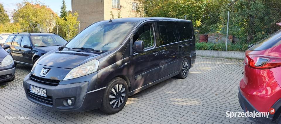 Peugeot Expert Tepee 8 osobowy 500000km dolnośląskie Wołów