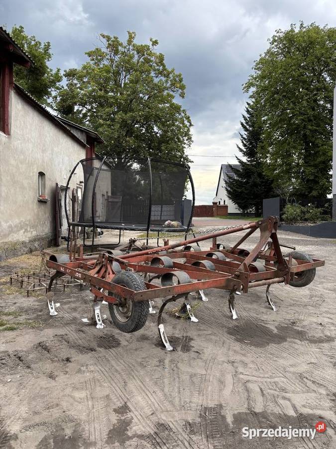 Gruber bezorkowiec KONGKILDE kujawsko-pomorskie Bukowiec