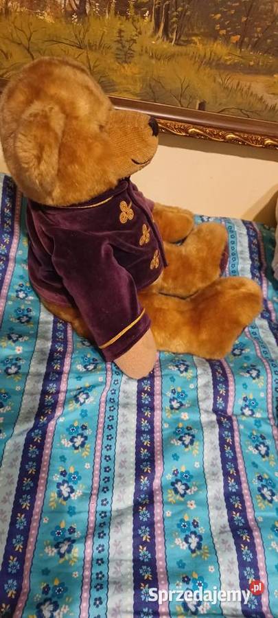 miś 2000 datowana na stopę HARRODS BEAR Poznań