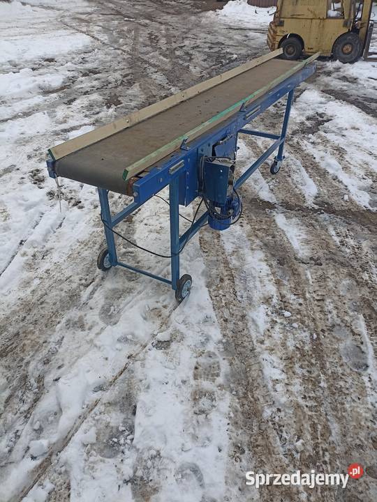 Podajnik taśmowy stół przebierczy Słomniki