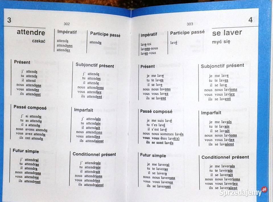 Słownik francuskopolski polskofrancuski Mini Pozostałe