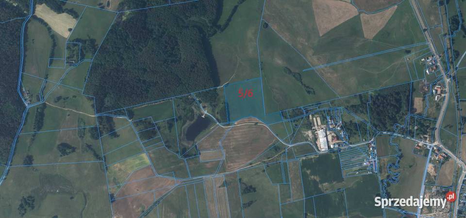 Działki rolne Kowale Oleckie rolna Sprzedaż
