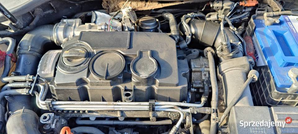 Manualna skrzynia 6 biegów Volkswagen Golf V świętokrzyskie Sandomierz