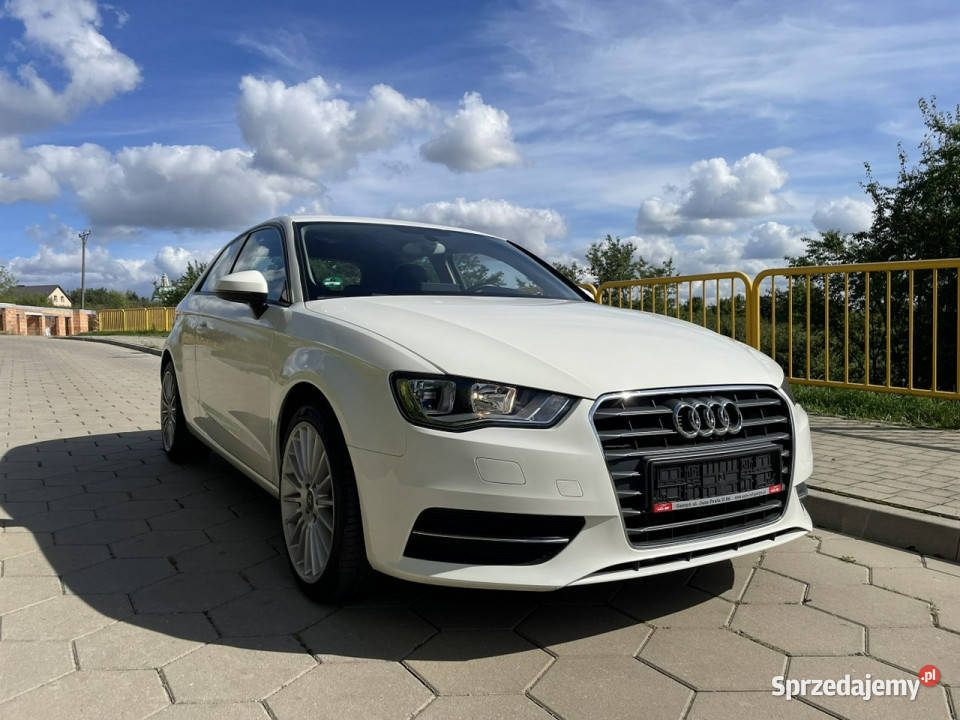 Audi A3 Audi A3 Opłacony Klimatronic 16 TDI 105 wspomaganie kierownicy Gostyń sprzedam