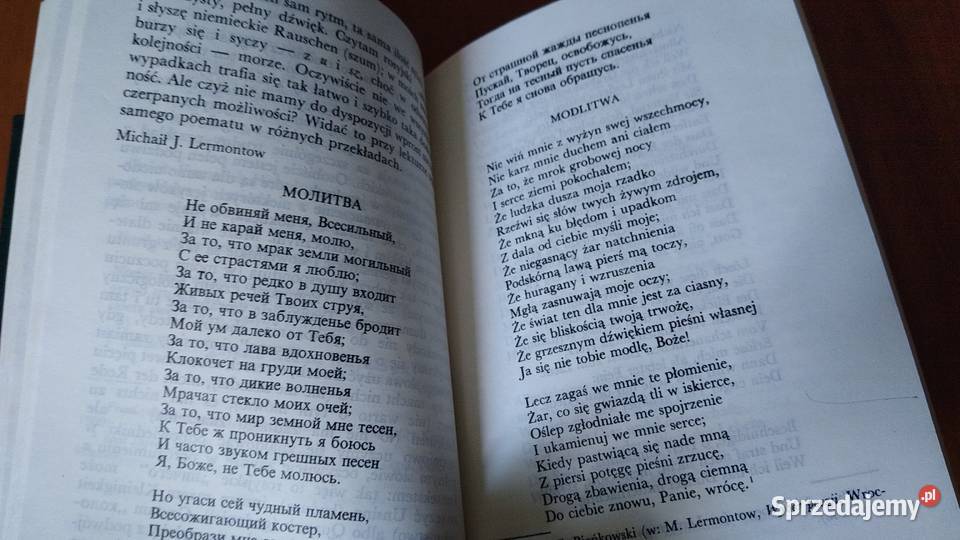 Notatnik tłumacza Karl Dedecius TWARDA 1988 ISBN 8307017327 Gdańsk