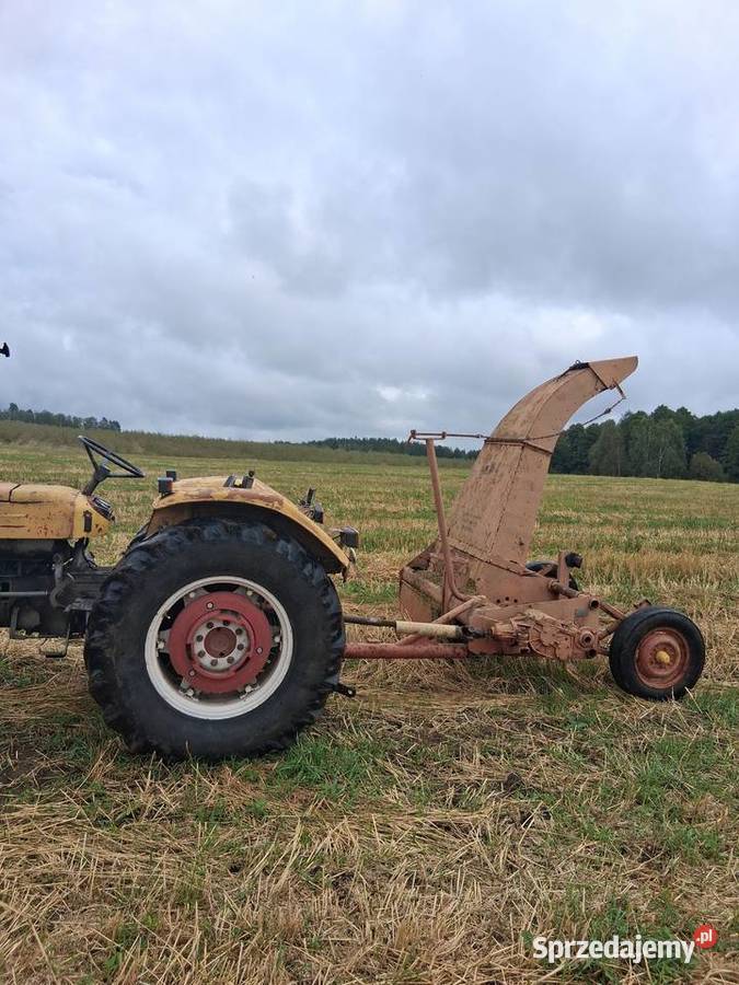 Orkan sprawny Olsztynek