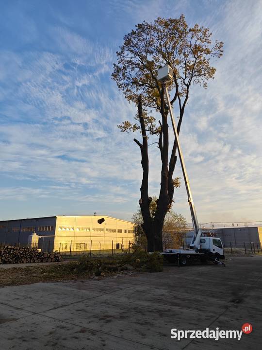 Usługi podnośnikiem koszowym 22m małopolskie Nowy Sącz