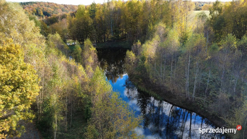 sprzedaży gruntu 6253m2 Gromadzin budowlana pomorskie