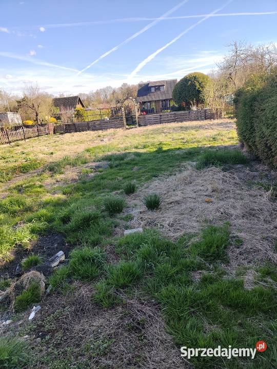 Działka ROD Parkiem w Pile Piła sprzedam