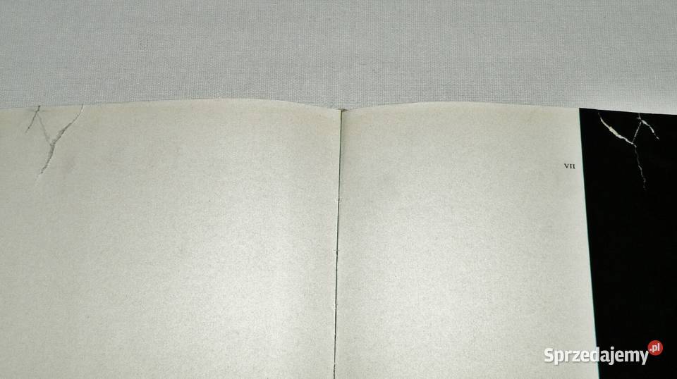 Konie Marian Gadzalski album WSiT 1978 Poradniki, albumy i reportaże Bydgoszcz